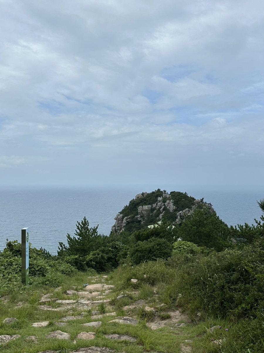 완도해금펜션 사진 6