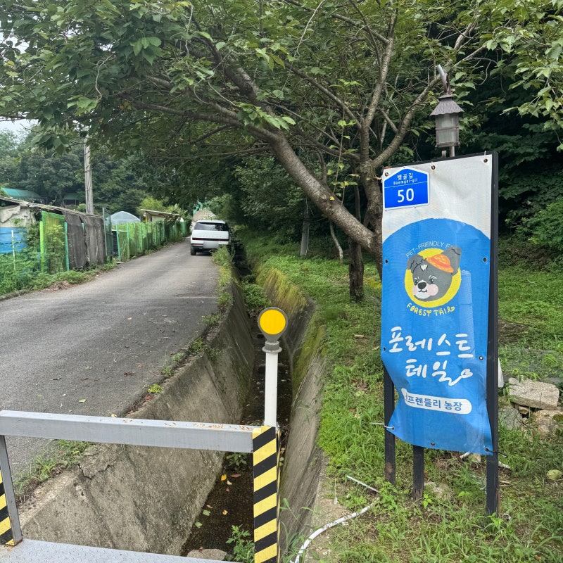 사진 7