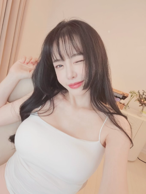 <b>서유리</b> 엑셀 방송 논란의 전말... 함께 <b>악플러</b> 고소 결국 <b>검찰 송치</b>