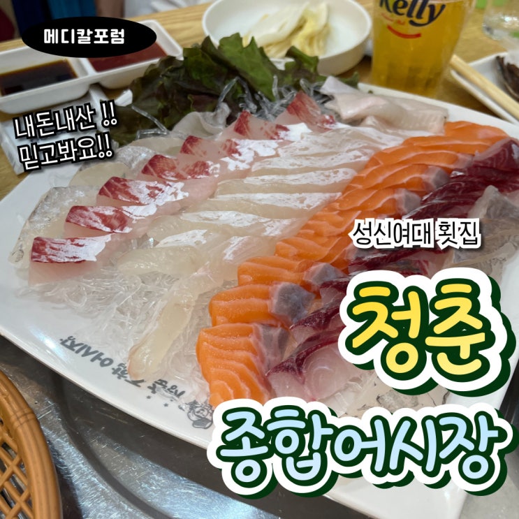  성신여대 횟집 청춘종합어시장 내돈내산 비교 후기