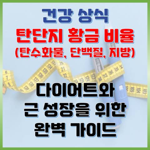  탄단지 황금 비율, 다이어트와 근 성장을 위한 탄수화물 단백질 지방 완벽 가이드