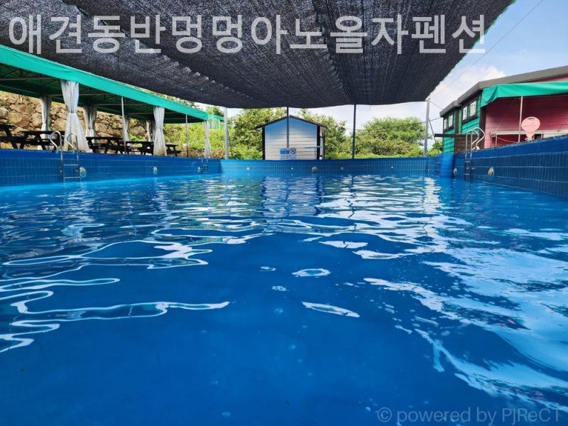 애견동반멍멍아노올자펜션