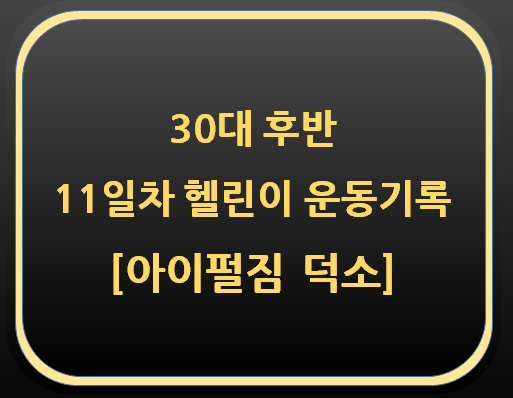  30대 후반 11일차 헬린이 운동기록[아이펄짐 덕소]