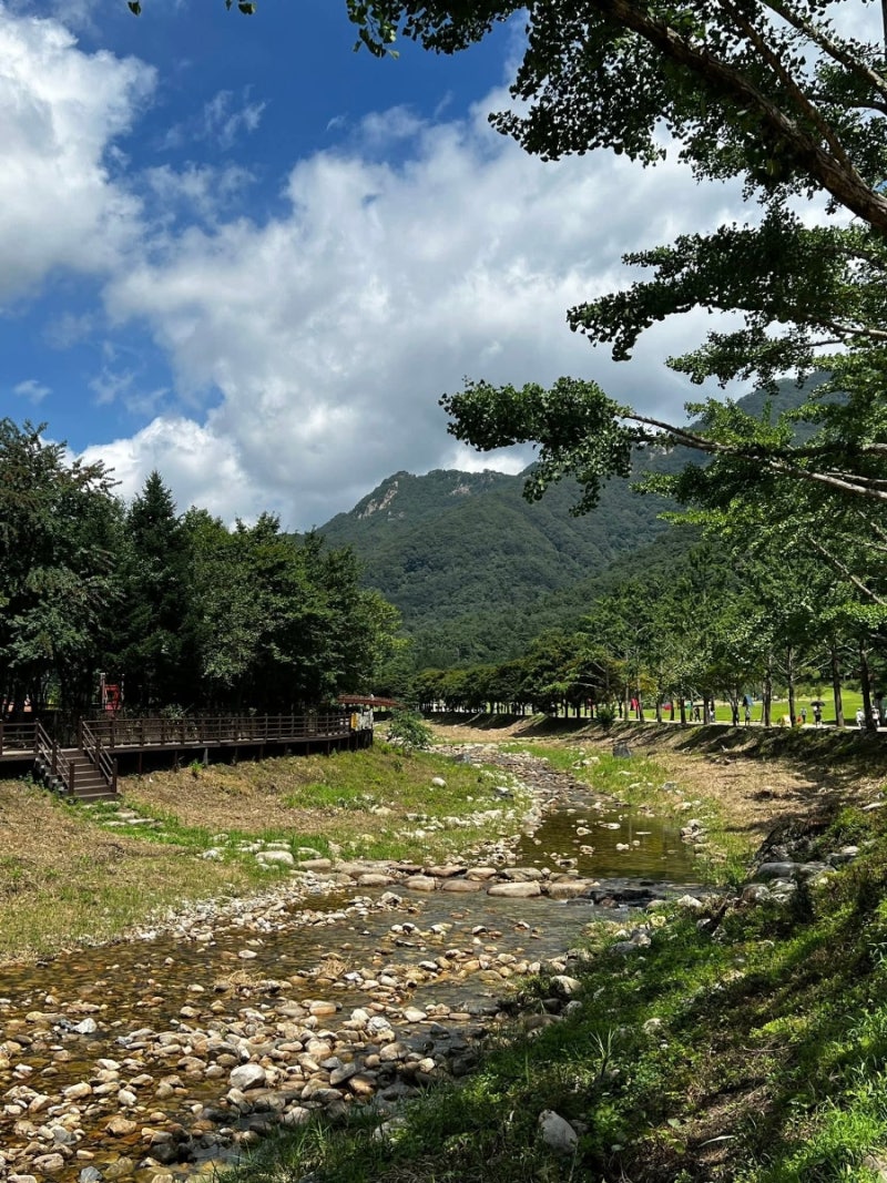 사진 5
