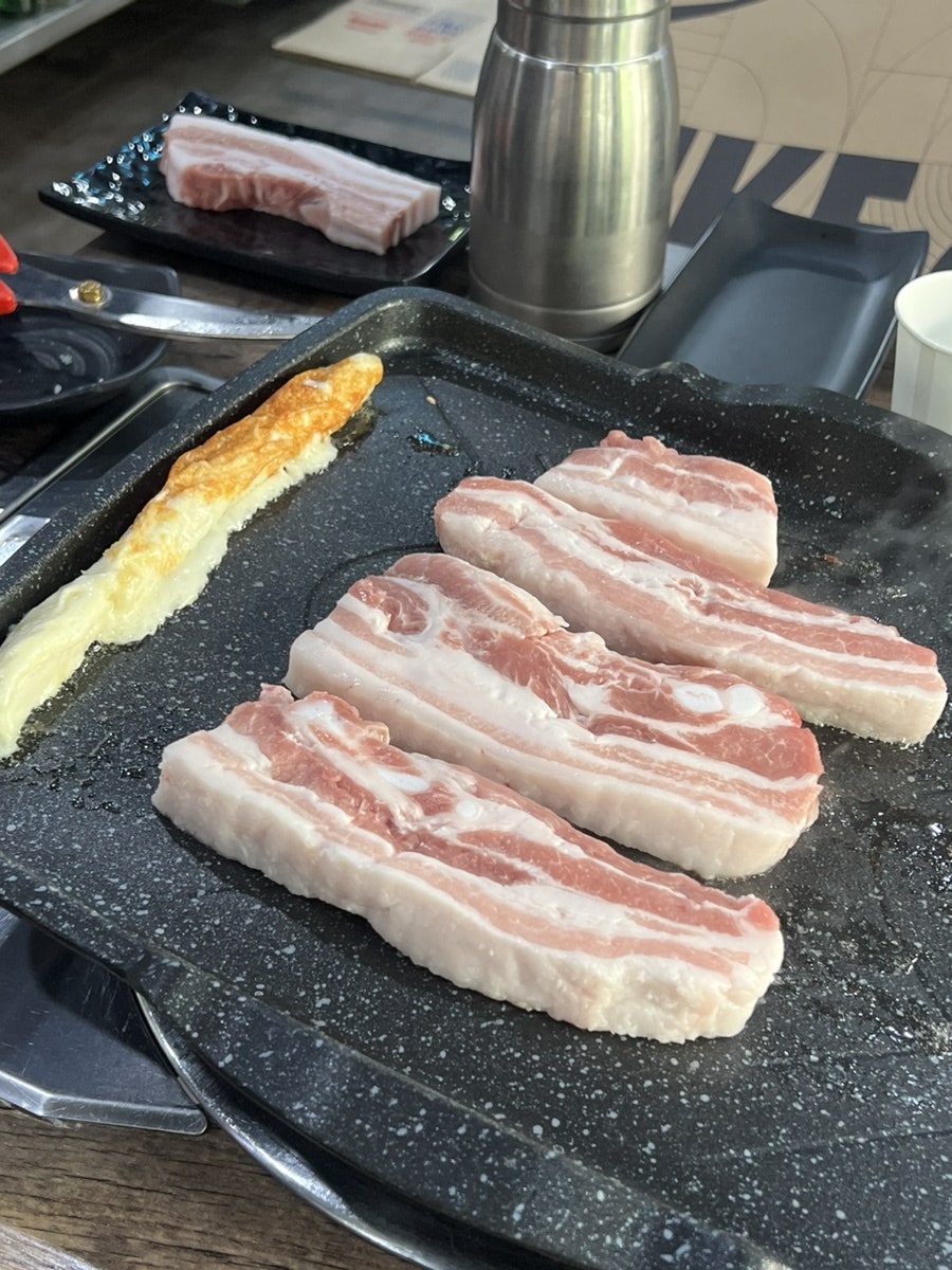 꿀꿀돼지 사진 3