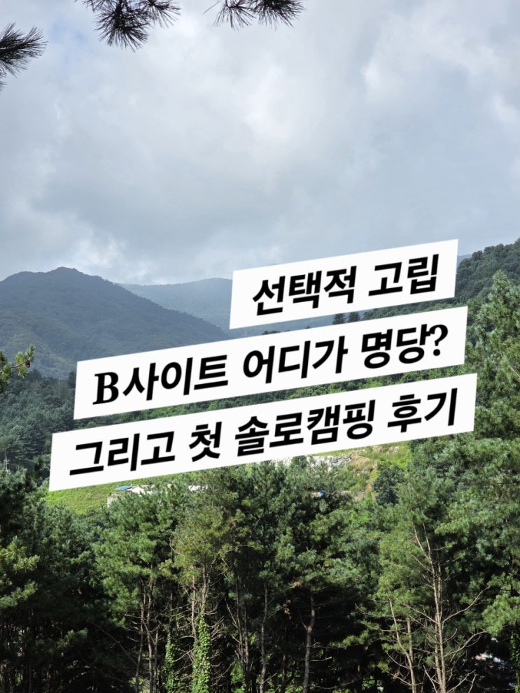 선택적고립 B사이트 명당은 어디? (솔캠으로 좋은 캠핑장)