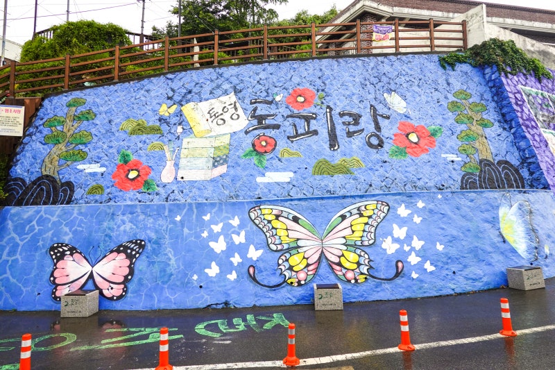 사진 6