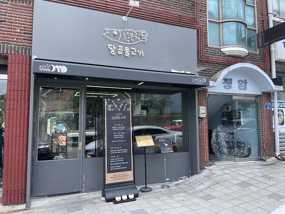 달곰물고기 사진 1