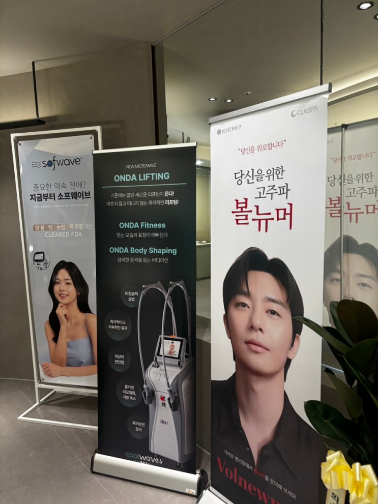  결혼 준비 다시 시작! 셀리데이의원 복부지방분해주사 + 바디온다 후기