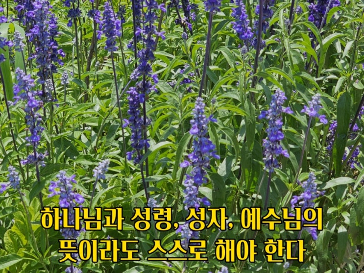  jms 정명석목사 잠언 ㅡ 뜻이라도