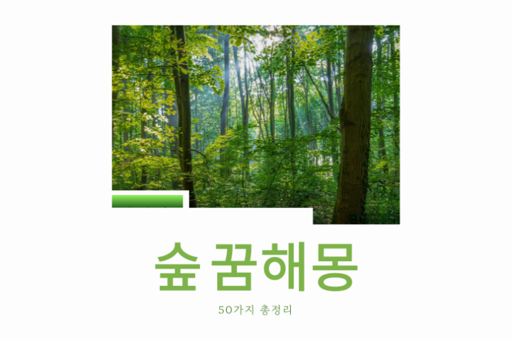  숲 꿈해몽
