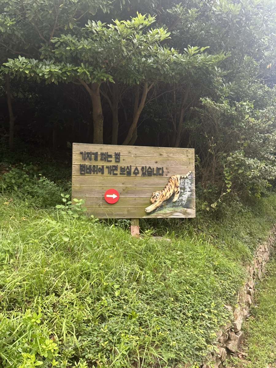 완도해금펜션 사진 2