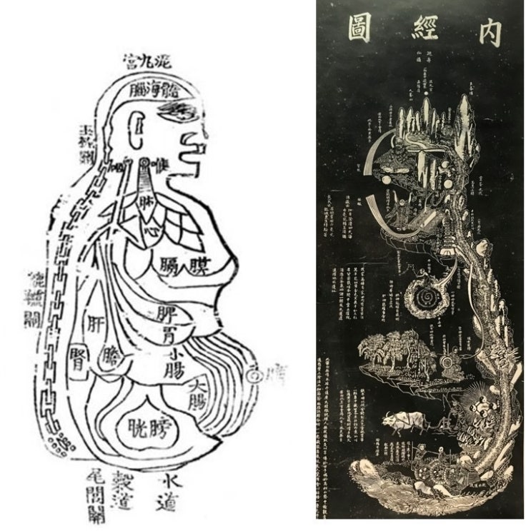  [성수한약국] 알면 도움되는 한의학 기본용어