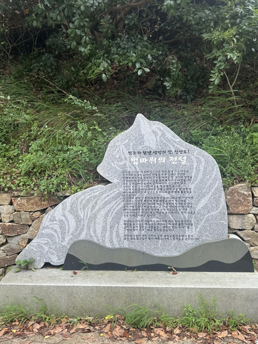 완도해금펜션 사진 3