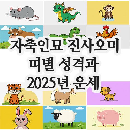  자축인묘 진사오미 신유술해, 12개 띠별 성격과 2025년 운세 분석