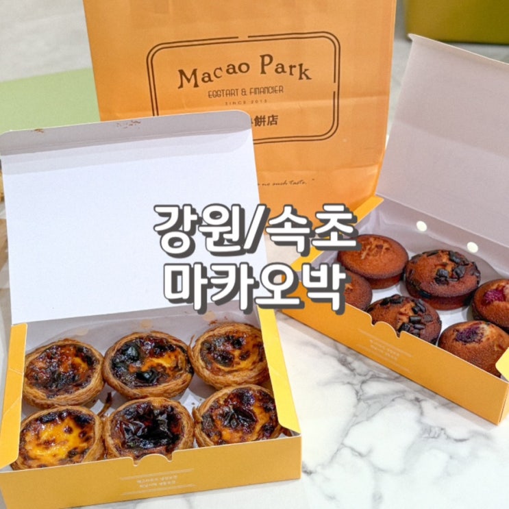  속초 중앙시장 에그타르트 맛집 마카오박 예약 주차 웨이팅 정보