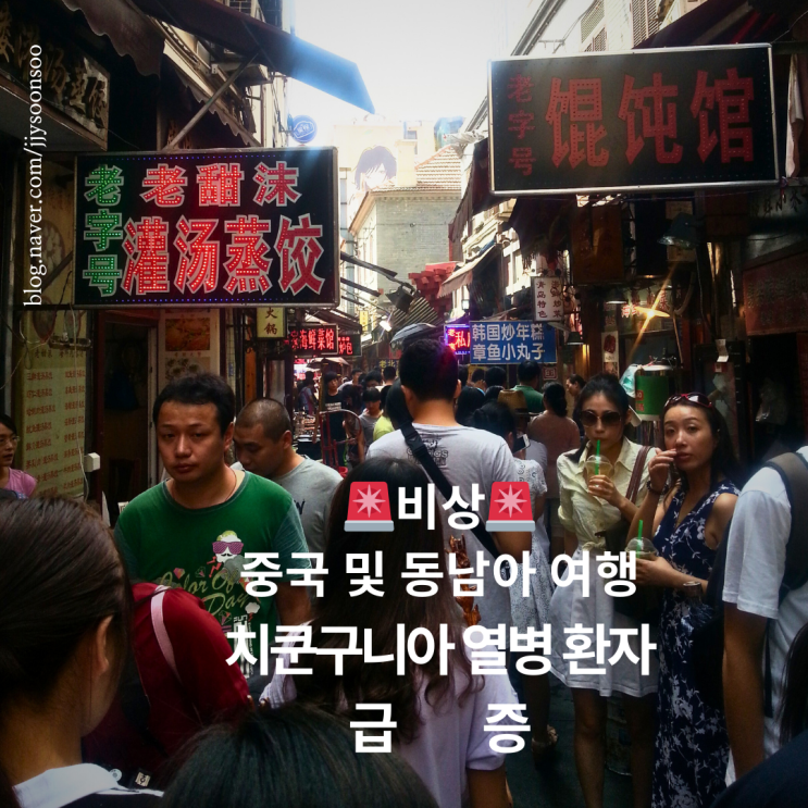  대만 중국 베트남 태국 등 중국 동남아 여행 치쿤구니아 발병 환자 증가