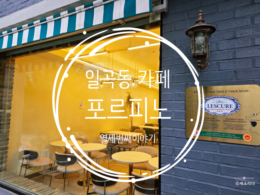 포르피노 열세번째이야기 사진 1