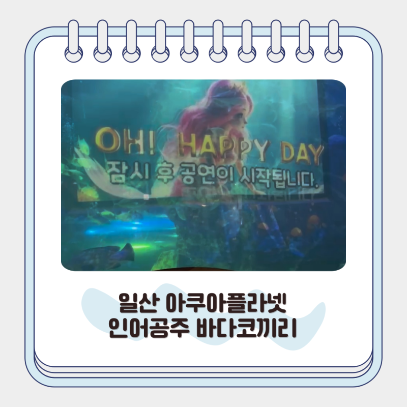 일산 아쿠아플라넷 인어공주 바다코끼리