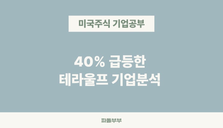  미국주식 테라울프 WULF 기업 분석 주가 투자 전망 데이터센터관련주 AI수혜주 비트코인채굴주