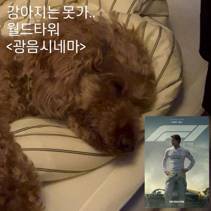  월드타워 롯데시네마 광음시네마추천 <F1더무비> 후기 심야영화 데이트 누구보다 빠르게 가는 법 주차 꿀팁