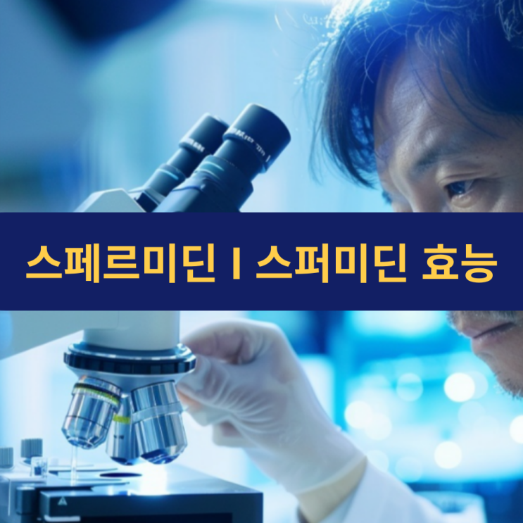  스페르미딘 효능 | 스퍼미딘 효능 | 풍부한 음식 | 장수 | 천연 폴리아민 물질