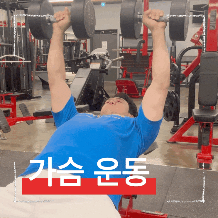  가슴 상부 윗부분 볼륨 채우기 위한 덤벨 인클라인 프레스 꿀팁