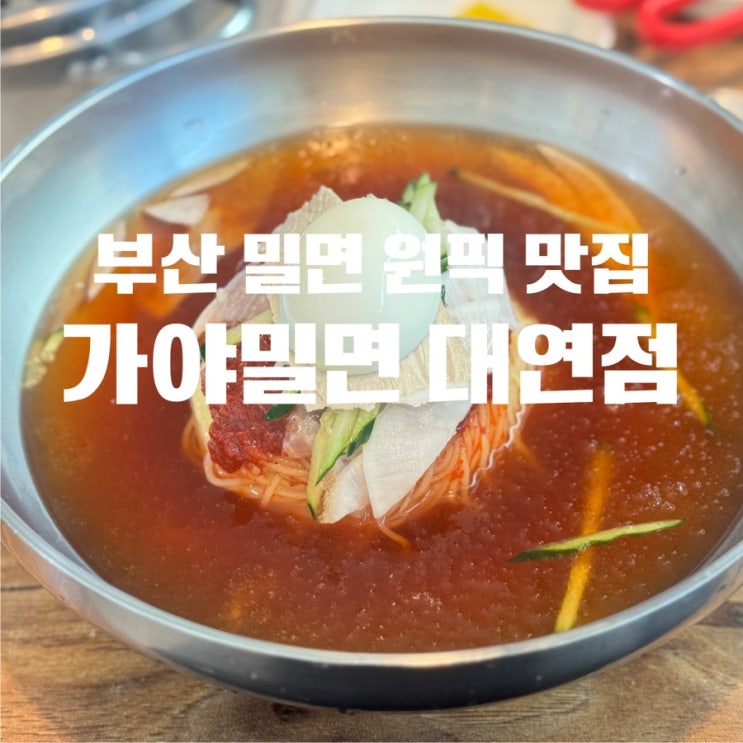  부산맛집 대연동 밀면 가야밀면