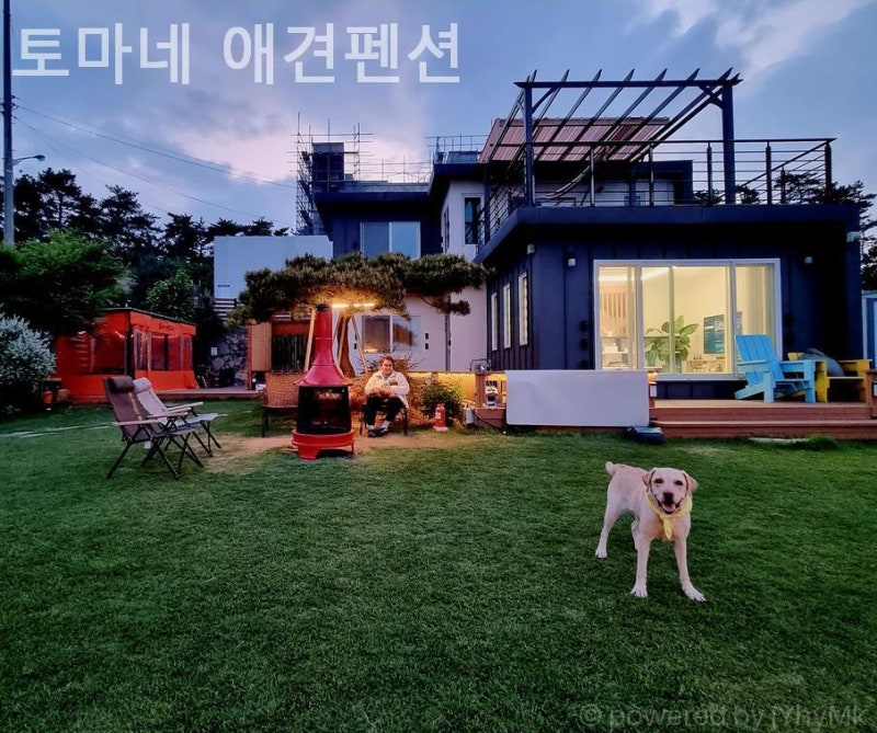 사진 13