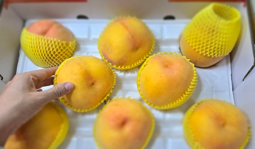 백장골 사진 5