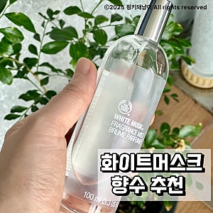 더바디샵 화이트머스크 향수 구버전 은은하게 스며드는 살결향