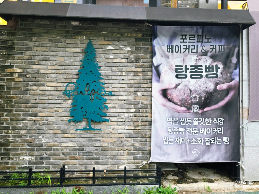 포르피노 열세번째이야기 사진 5