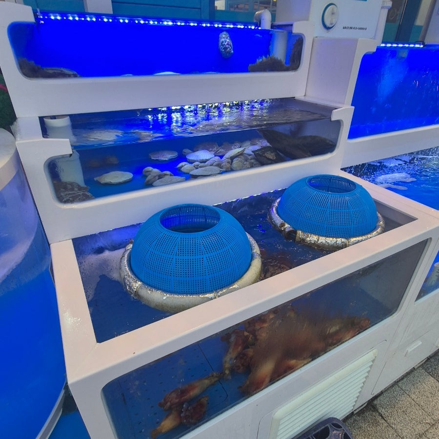 신선횟집 사진 5