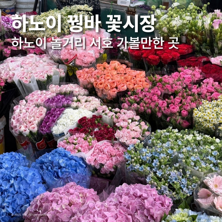  베트남 하노이 갈만한 곳 추천 꿩바 꽃시장