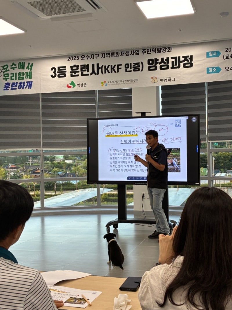 사진 9