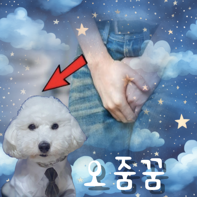 오줌많이싸는꿈 해몽, 찝찝한 느낌은 흉몽일까?