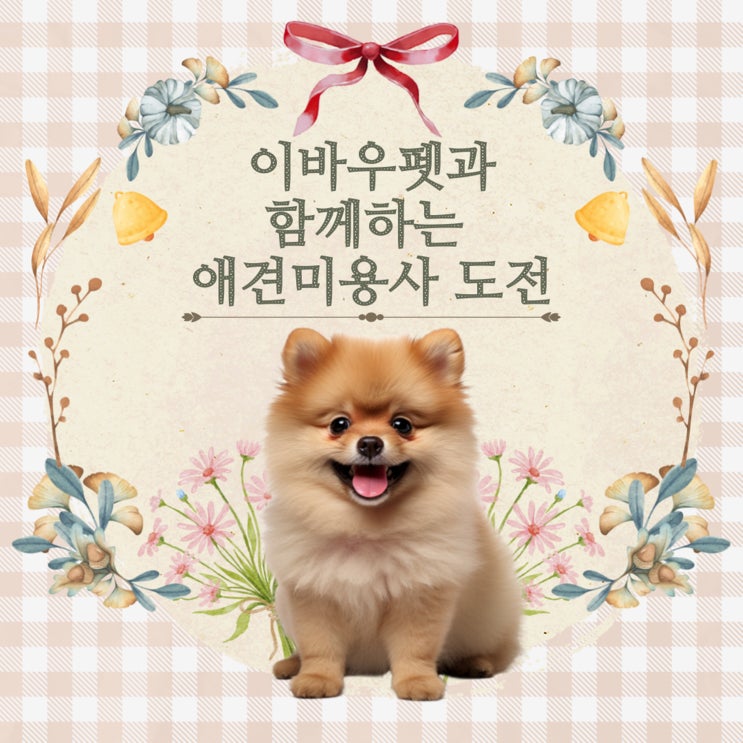  애견미용사자격증, 30대 새로운 직업을 찾아서! 인생 2 막을 여는 유망한 선택