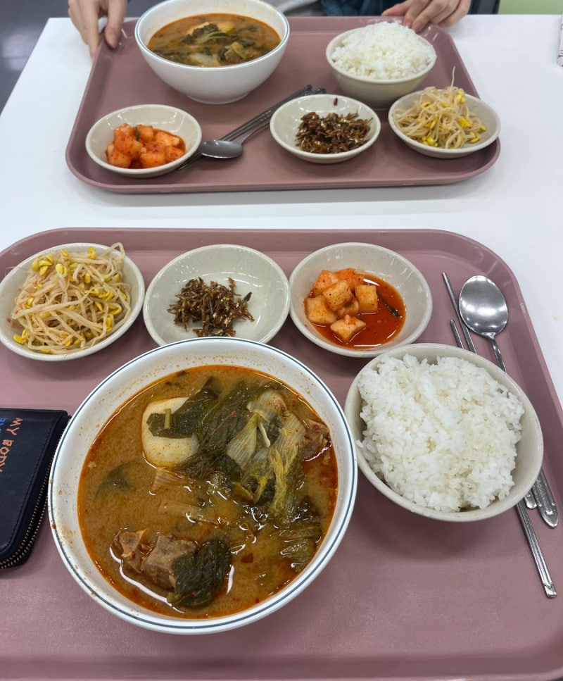 [서울대 학식 총정리] 서울대 학식 가격, 위치, 시간 | 외부인 출입 가능 여부 | 서울대학교 학....