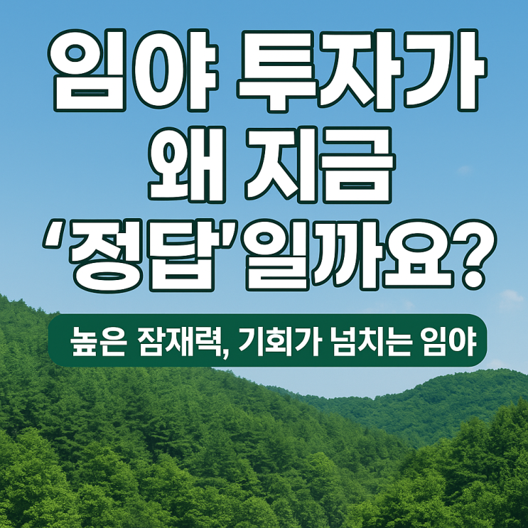  임야 투자가 왜 지금 '정답'일까요? (전국임야전문)