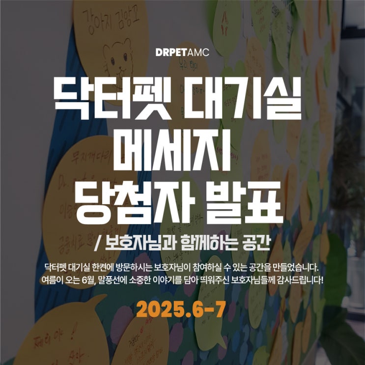  대기실 게시판 2025년 6-7월 보호자님 메세지 추첨 결과 (부산 24시 동물병원)