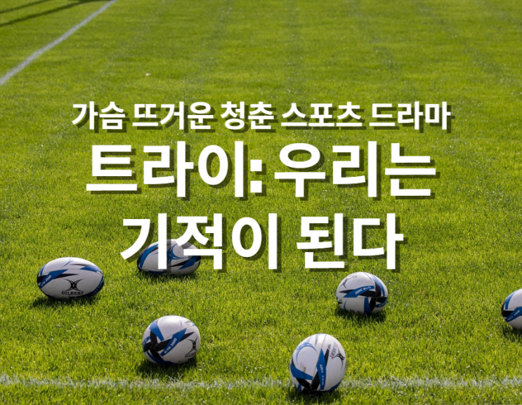  가슴 뜨거운 청춘 스포츠 드라마 <트라이:우리는 기적이 된다>