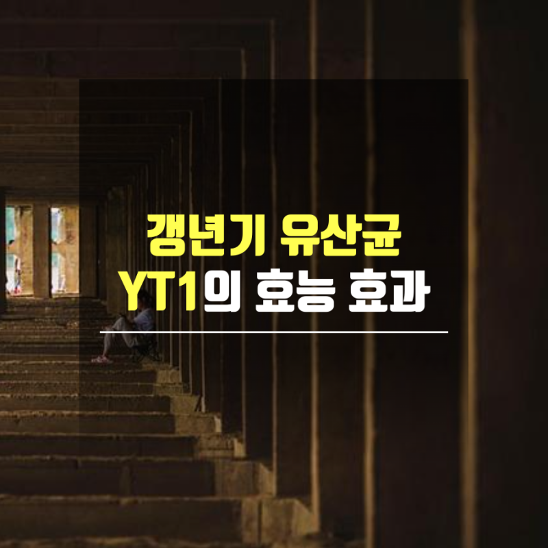 갱년기 증상 개선의 새로운 희망, 갱년기유산균 YT1 주목받는다