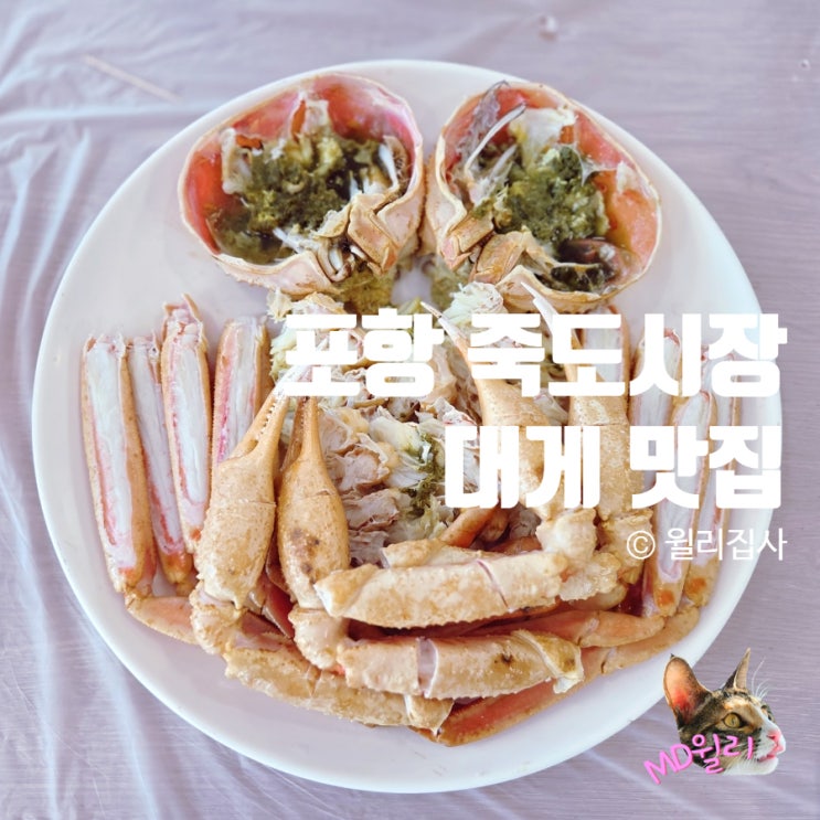  죽도시장대게 제일 싸고 맛있는 곳 부모님 모시고 포항 준돌이네