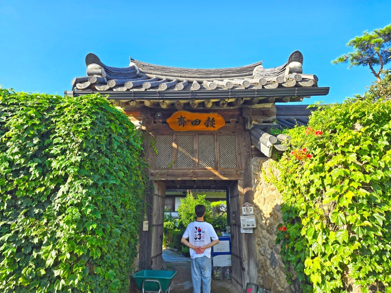 사진 10