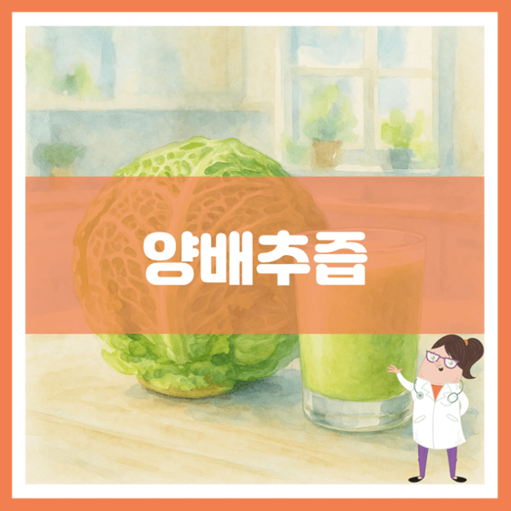  양배추즙 효능 부작용 만드는 방법