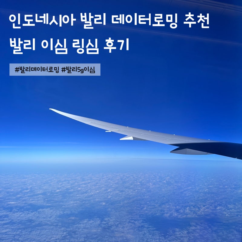 인도네시아 발리 이심 e심 링심 데이터로밍 후기 추천
