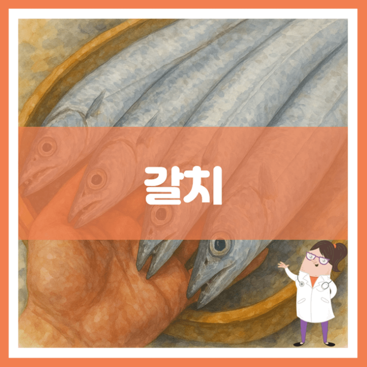  갈치 효능 영양성분 부작용