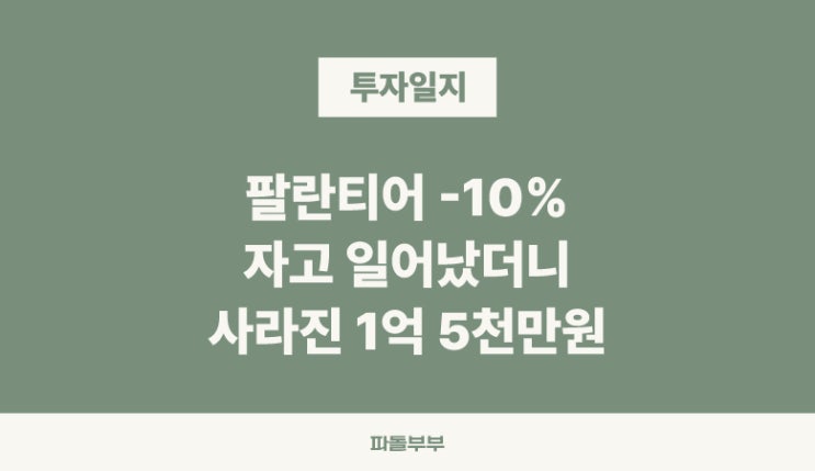  팔란티어 PLTR 아이렌 IREN 나스닥 기술주 조정 하락 급락 공매도