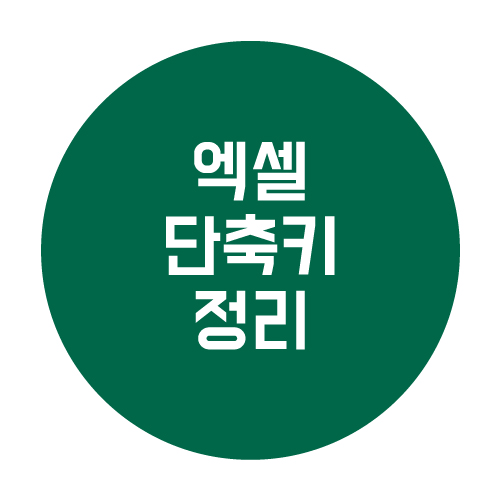  엑셀 단축키 정리 빠른 작업을 위한 필수 기능