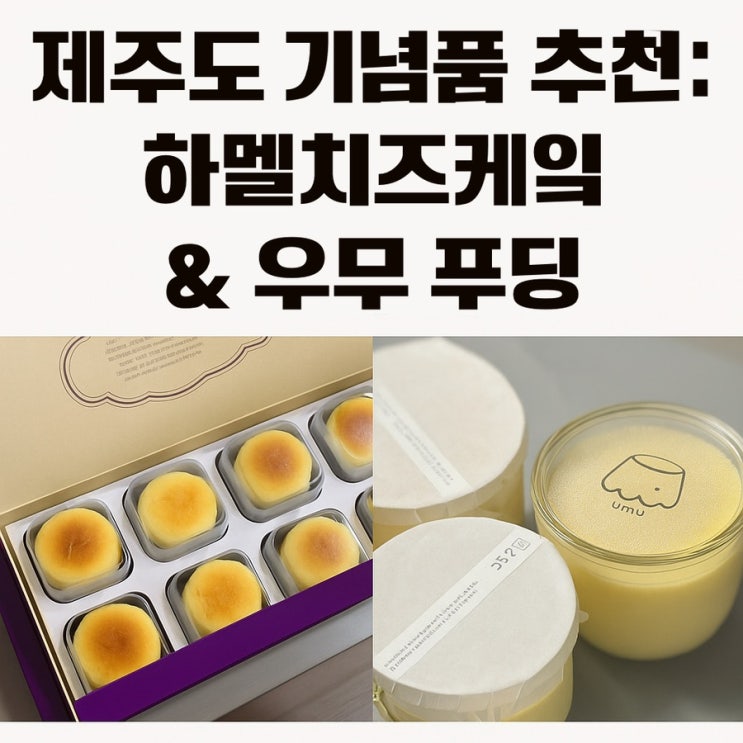  제주도기념품 하멜치즈케잌 & 우무 푸딩 솔직 리뷰